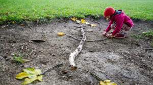 A legjobb erdei móka: land art