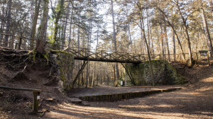 Gödöllői arborétum: 154 az 1-ben