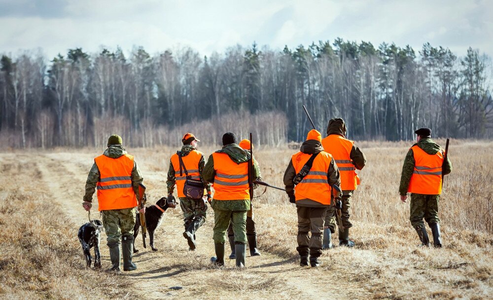 Hunters with dogs go to the forest during the hunting season